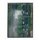 Quadro decorativo - Vis�o de Drone Avenida e �rvores