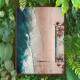 Quadro decorativo - Vis�o de Drone Coqueiros em Praia