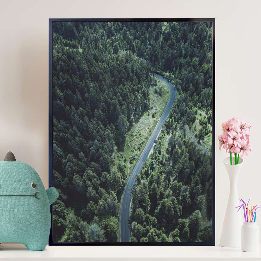 Quadro decorativo - Vis�o de Drone Estrada e Floresta