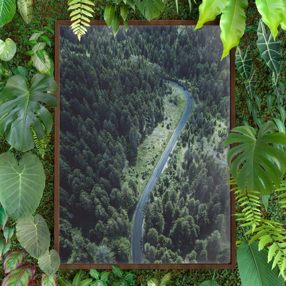 Quadro decorativo - Viso de Drone Estrada e Floresta