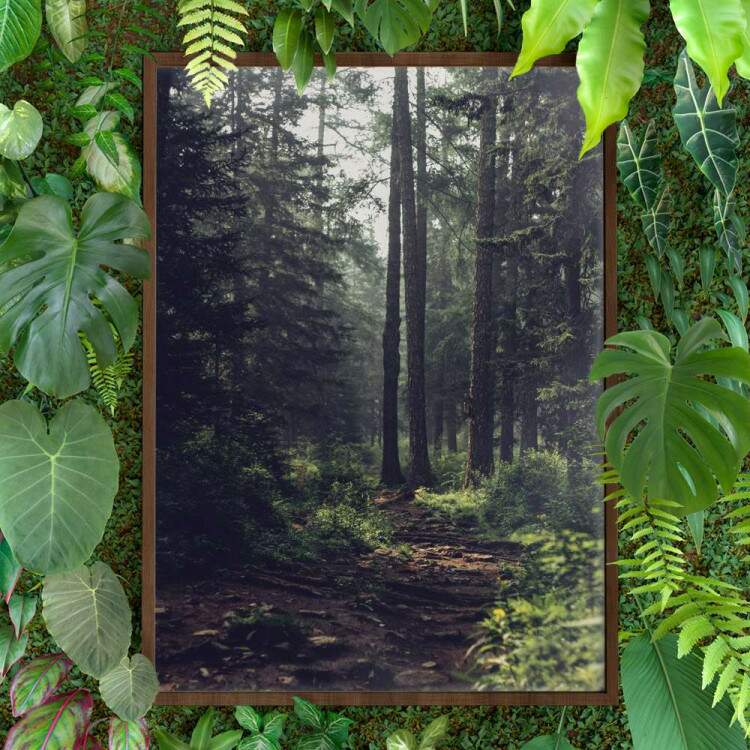 Quadro decorativo - Floresta 11