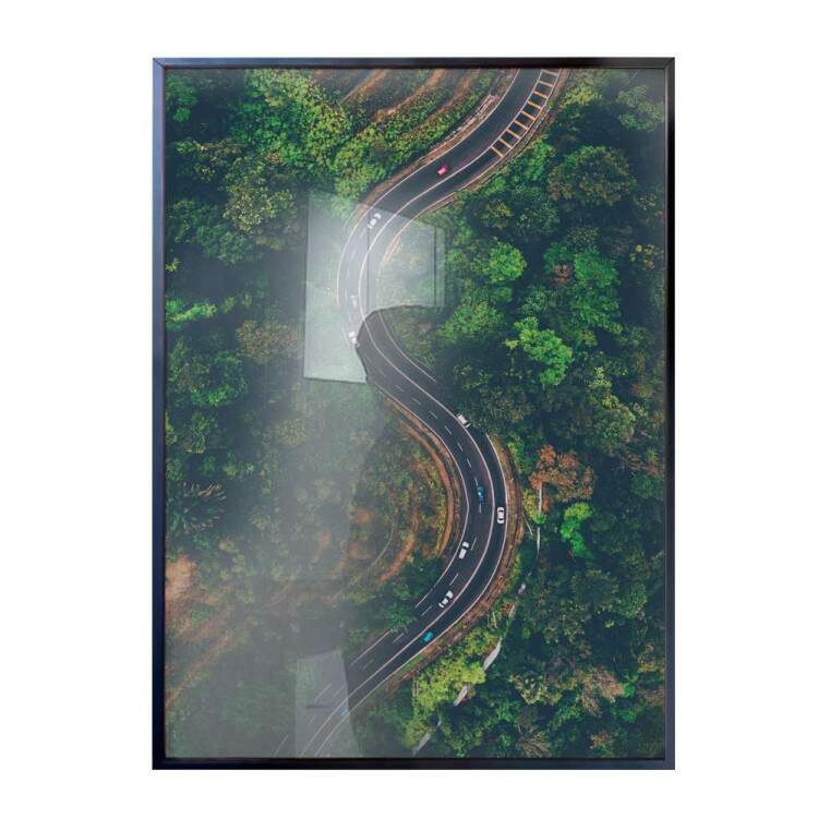 Quadro decorativo - Floresta 12
