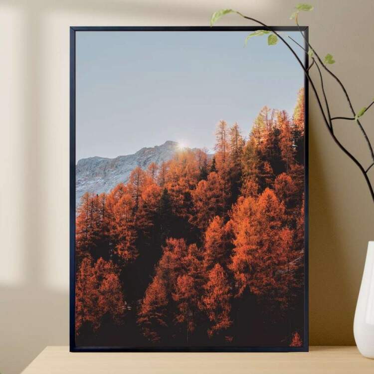 Quadro decorativo - Floresta 13