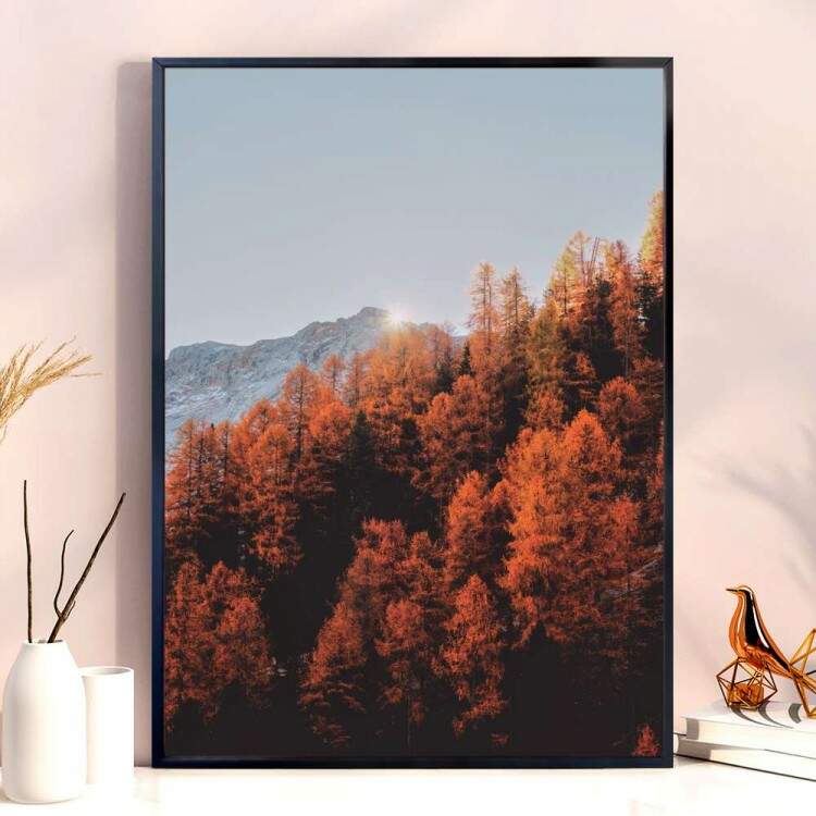 Quadro decorativo - Floresta 13