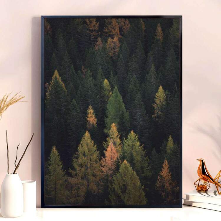 Quadro decorativo - Floresta 14