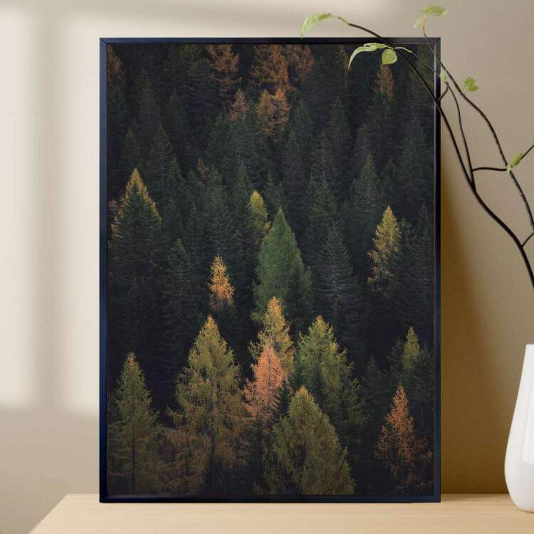 Quadro decorativo - Floresta 14