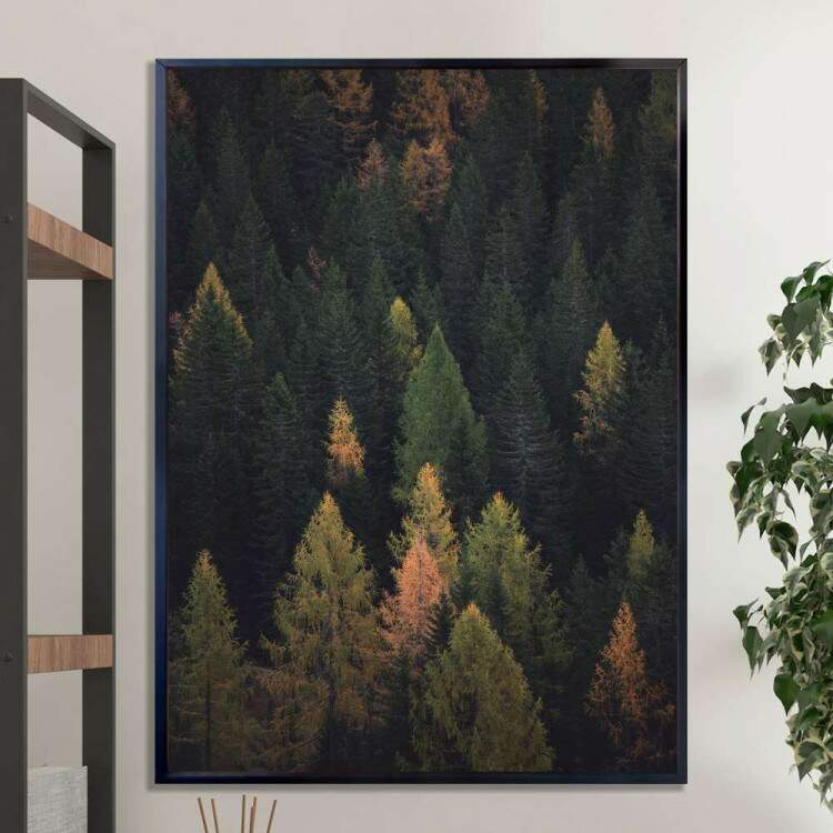Quadro decorativo - Floresta 14