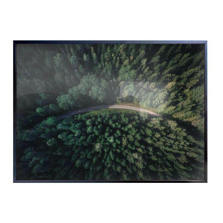 Quadro decorativo - Floresta 15