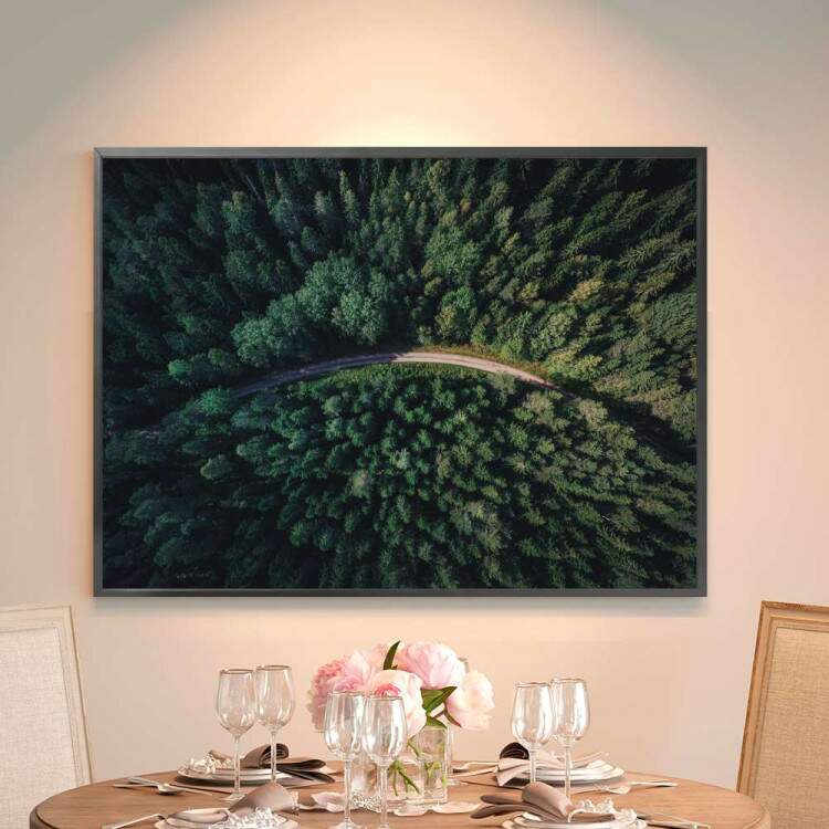Quadro decorativo - Floresta 15