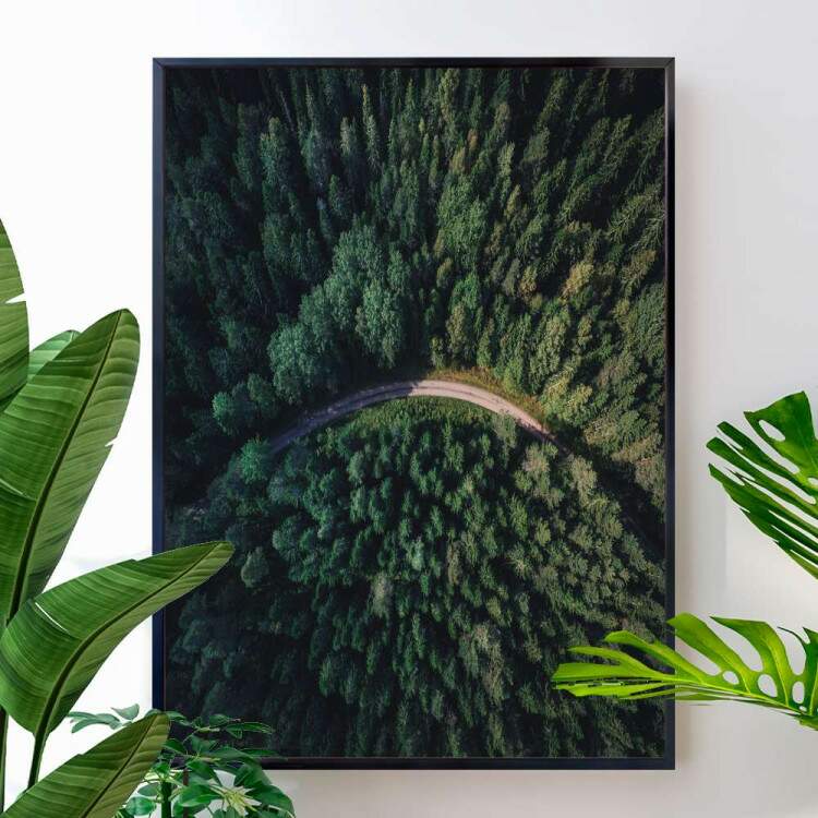 Quadro decorativo - Floresta 15