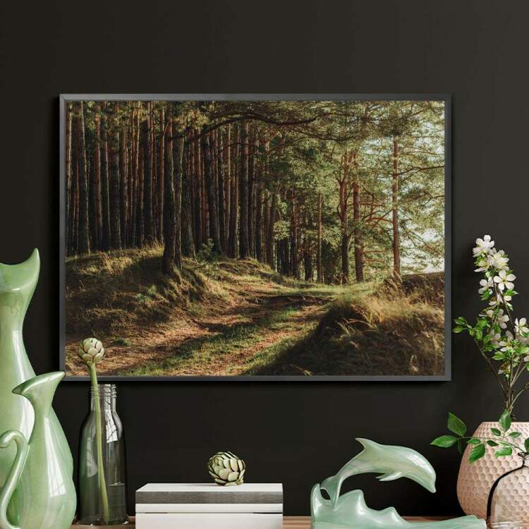 Quadro decorativo - Floresta 16
