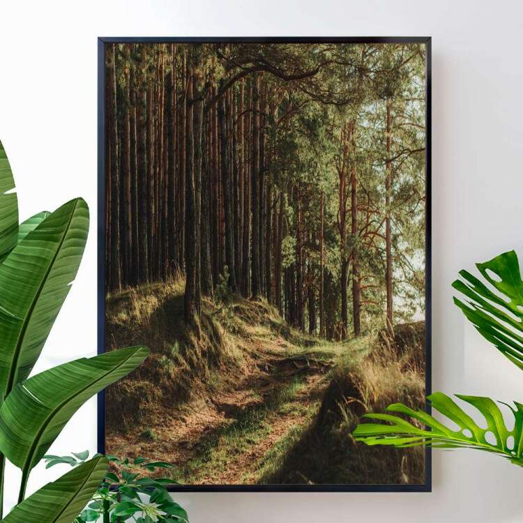 Quadro decorativo - Floresta 16