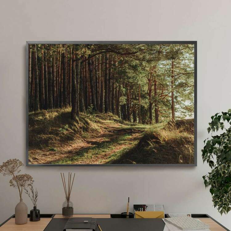 Quadro decorativo - Floresta 16