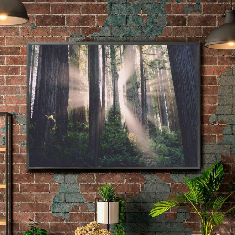 Quadro decorativo - Floresta 17