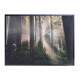 Quadro decorativo - Floresta 17
