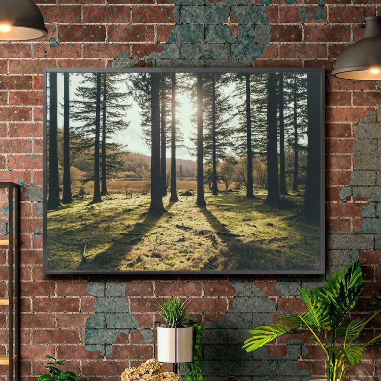 Quadro decorativo - Floresta 18