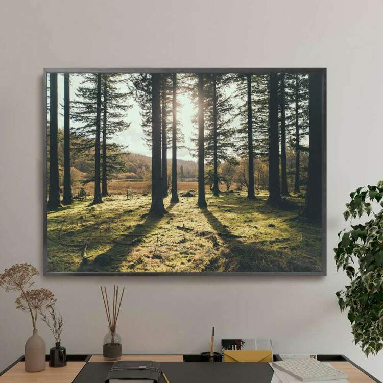 Quadro decorativo - Floresta 18