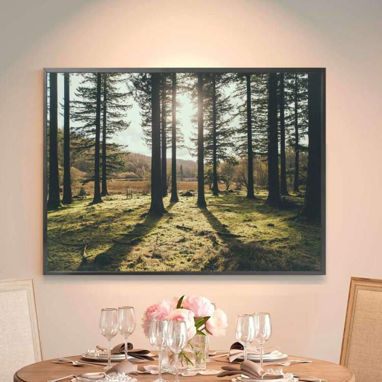 Quadro decorativo - Floresta 18