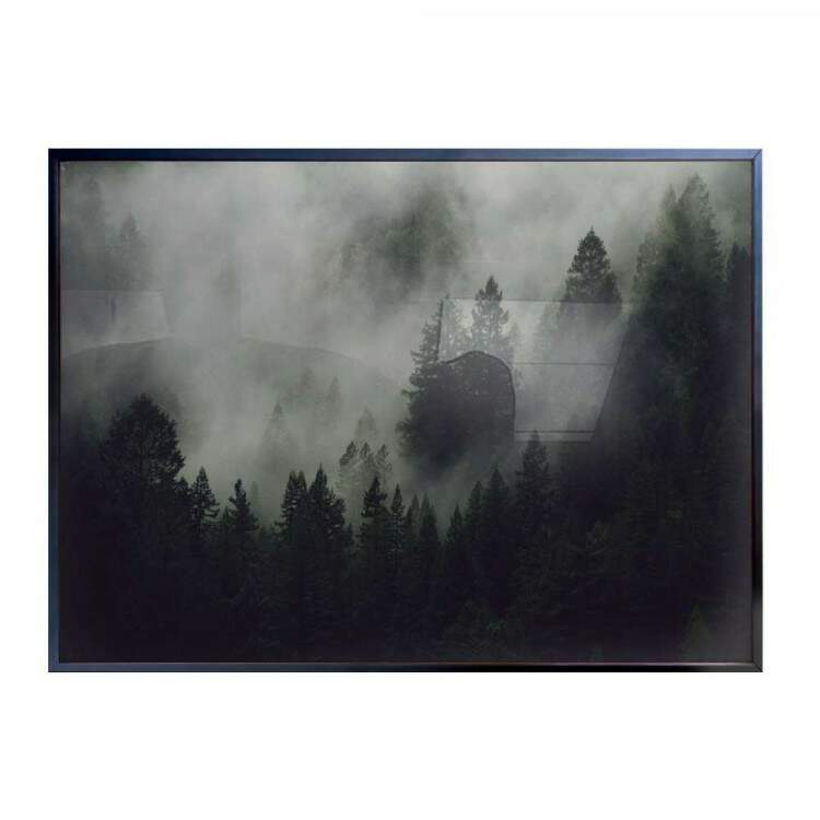 Quadro decorativo - Floresta 19