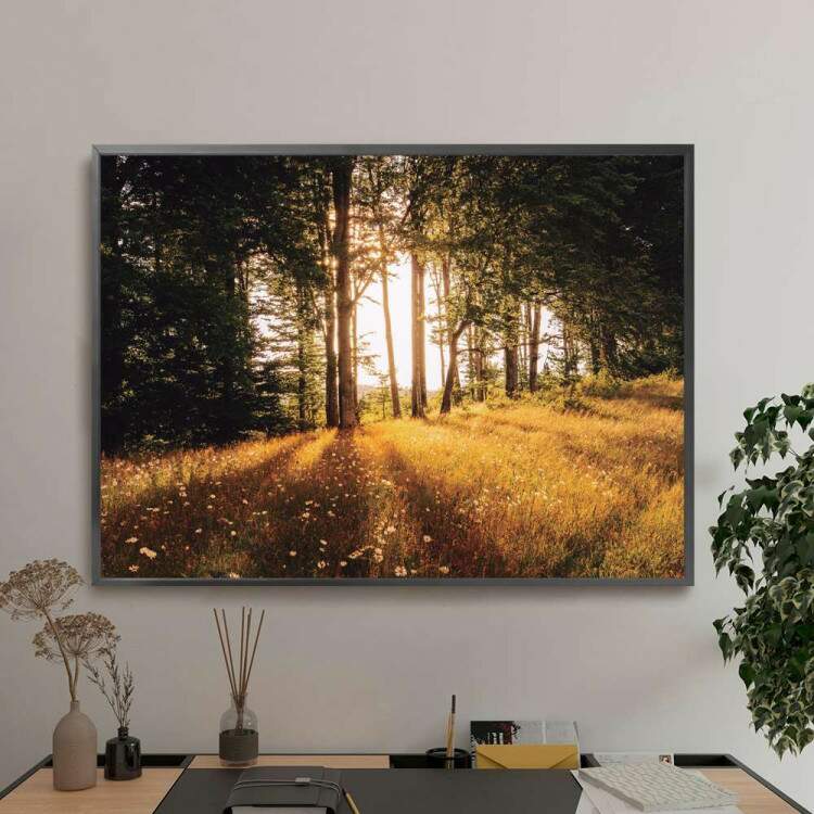 Quadro decorativo - Floresta 2