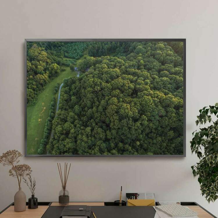 Quadro decorativo - Floresta 22