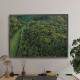 Quadro decorativo - Floresta 22