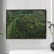 Quadro decorativo - Floresta 22