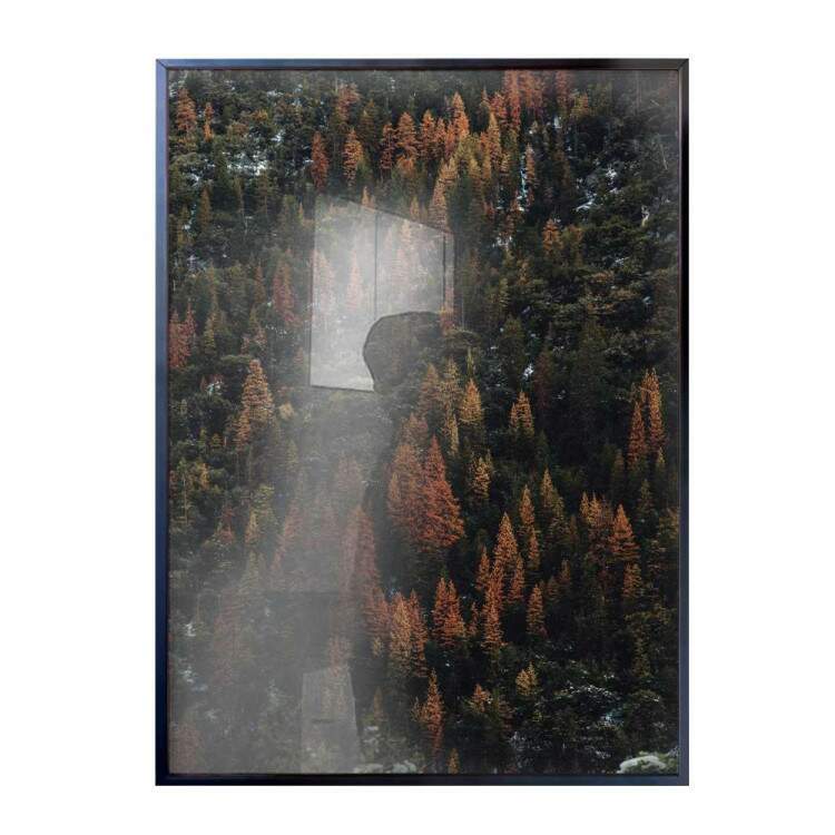 Quadro decorativo - Floresta 23
