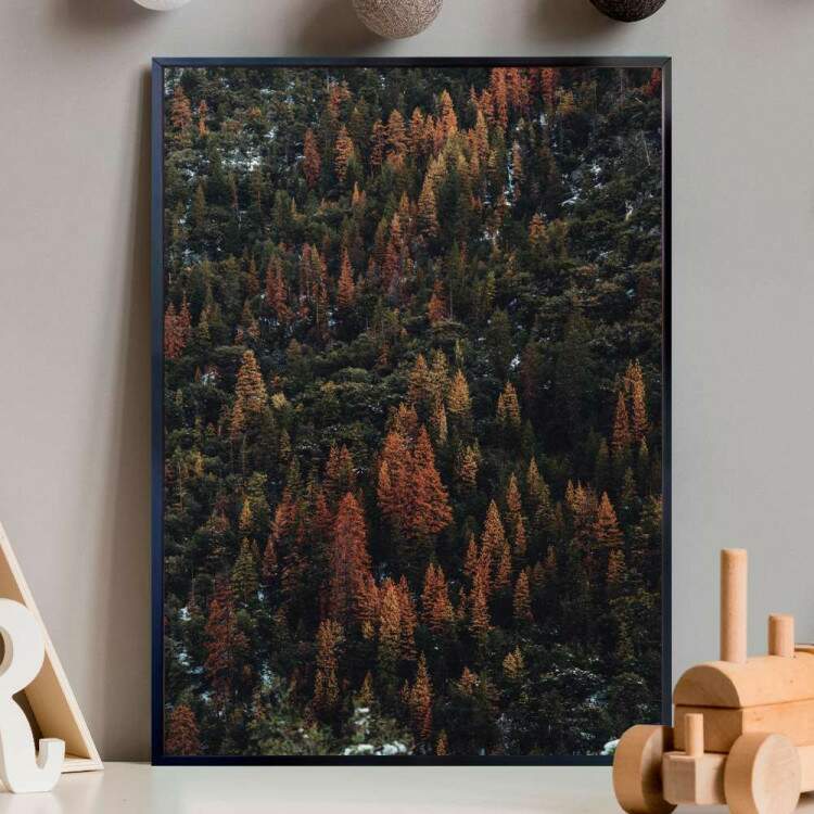Quadro decorativo - Floresta 23