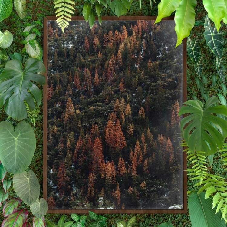Quadro decorativo - Floresta 23