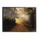 Quadro decorativo - Floresta 25
