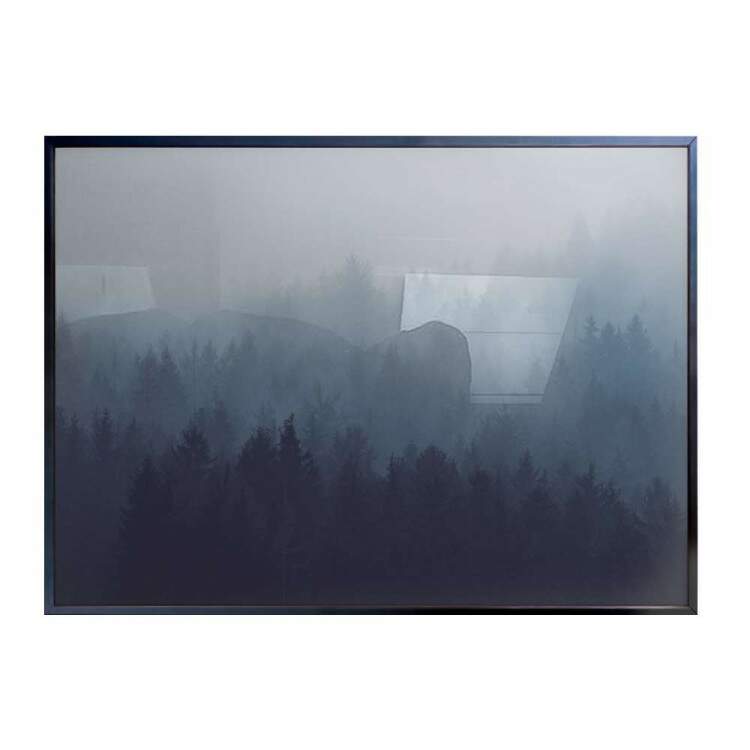 Quadro decorativo - Floresta 26