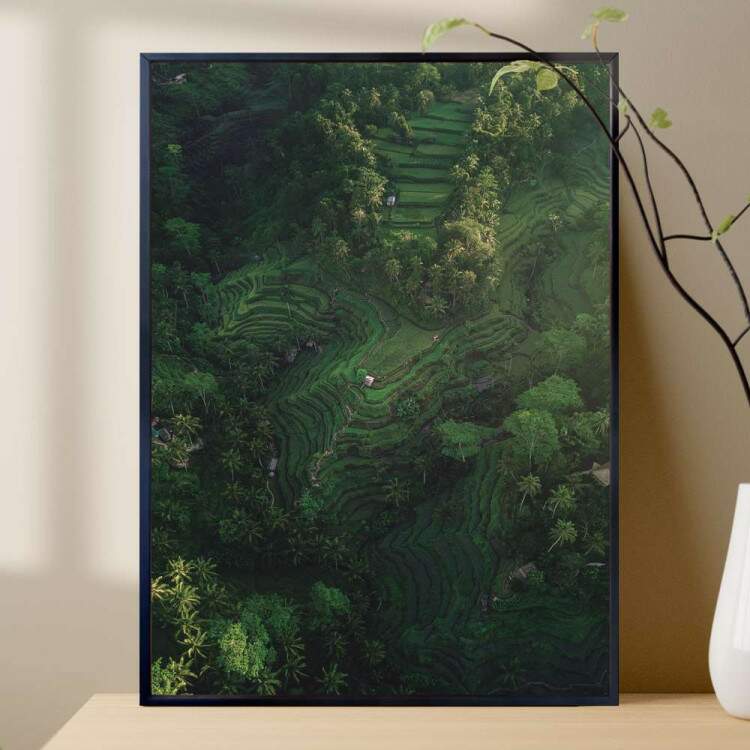 Quadro decorativo - Floresta 27