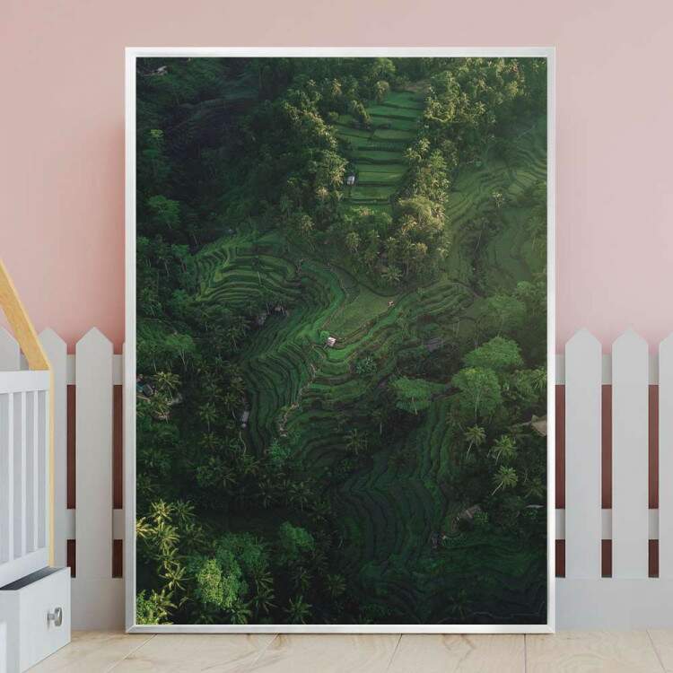 Quadro decorativo - Floresta 27