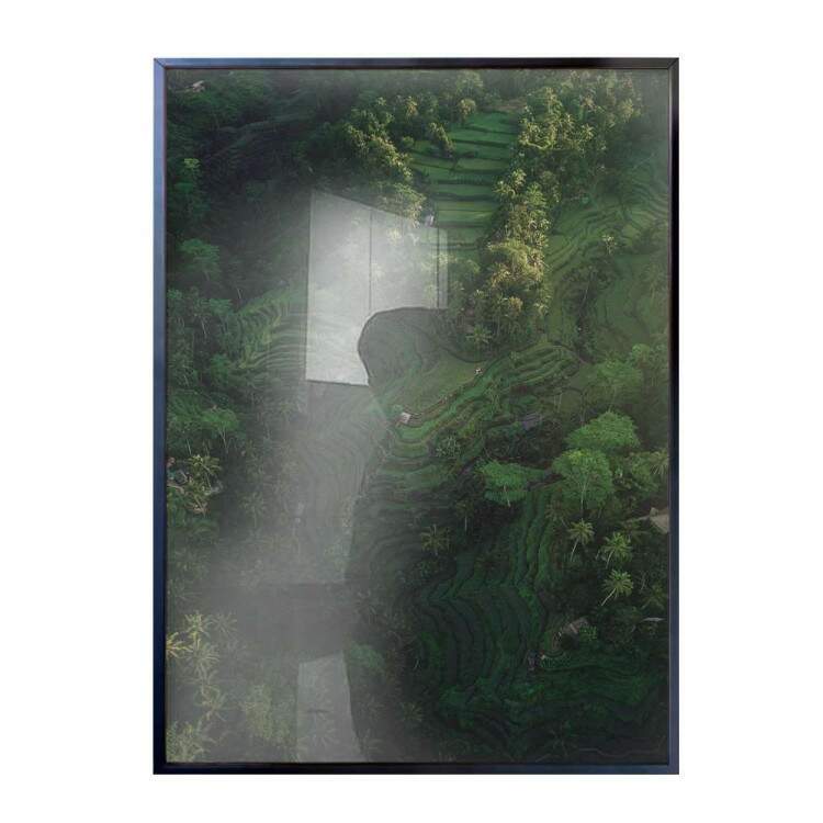 Quadro decorativo - Floresta 27