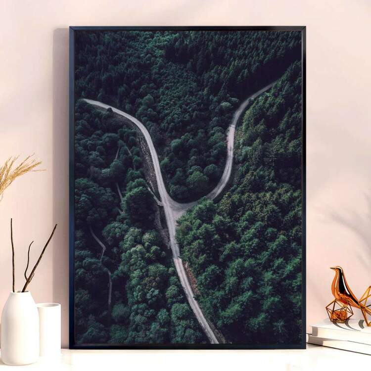 Quadro decorativo - Floresta 29