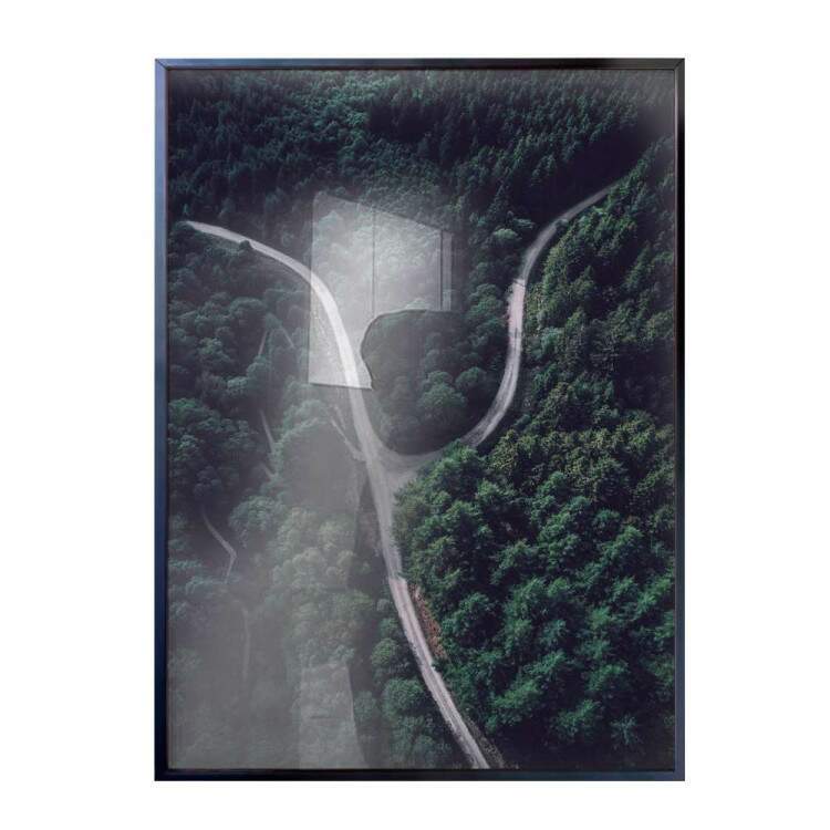 Quadro decorativo - Floresta 29