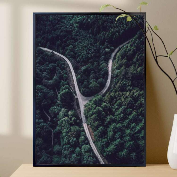Quadro decorativo - Floresta 29