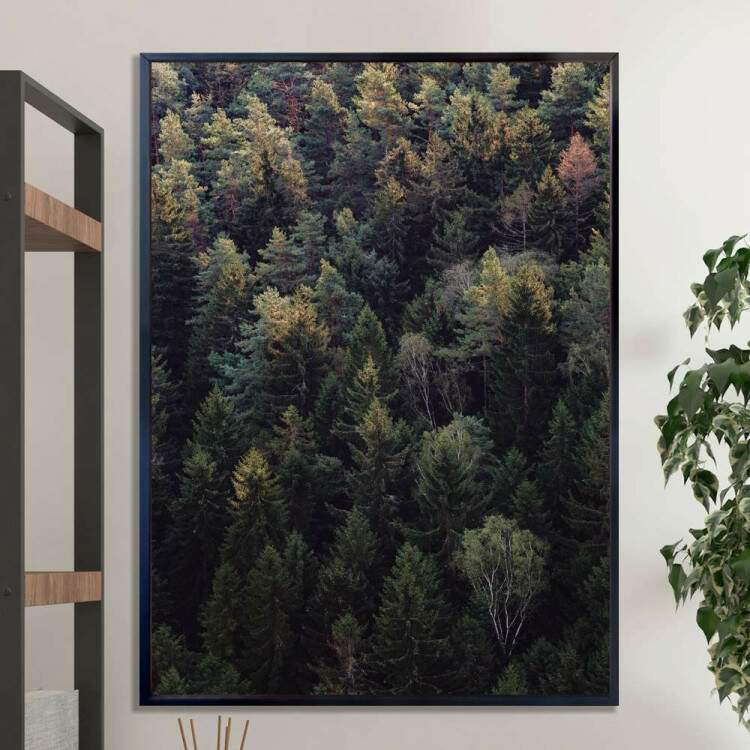 Quadro Decorativo Floresta 4