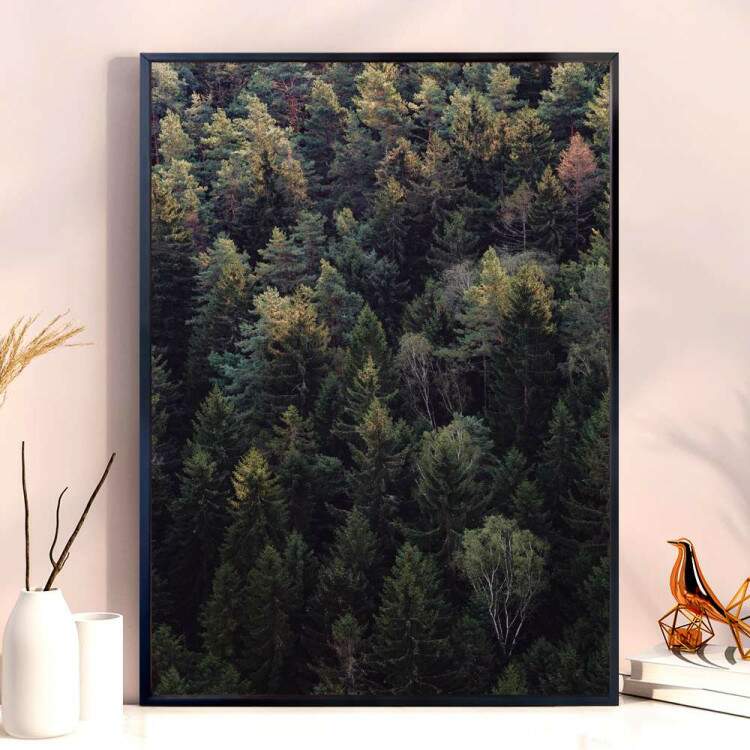 Quadro Decorativo Floresta 4