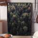 Quadro Decorativo Floresta 4