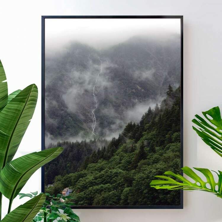 Quadro decorativo - Floresta 5