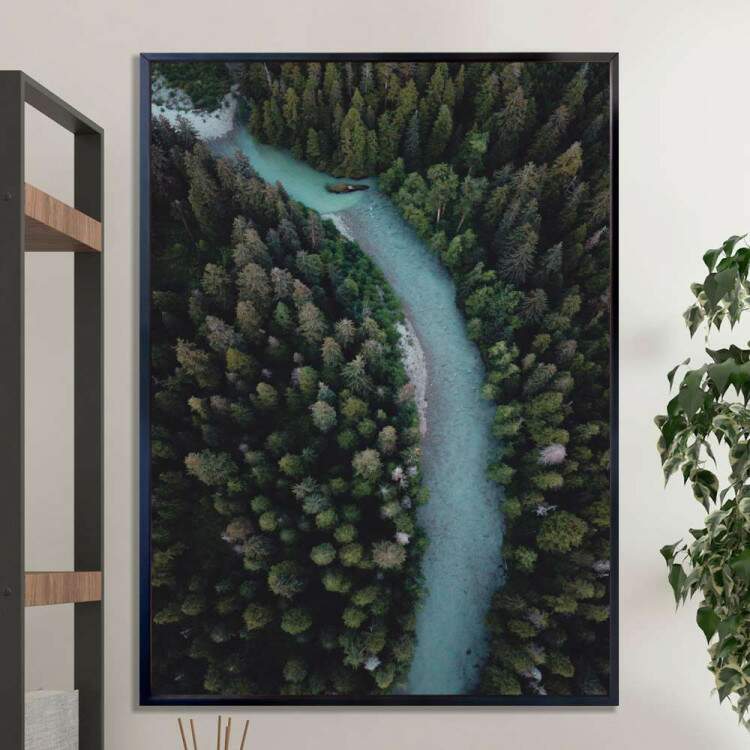 Quadro decorativo - Floresta 6