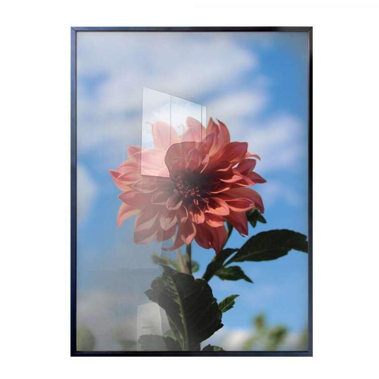 Quadro decorativo - Floral Flor Alaranjada com Fundo Azul