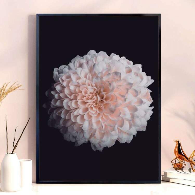 Quadro decorativo - Floral Flor Branca com Fundo Preto