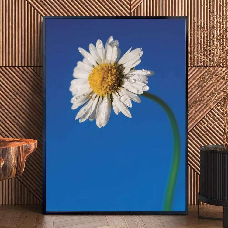 Quadro decorativo - Floral Flor Branca e Cu Azul