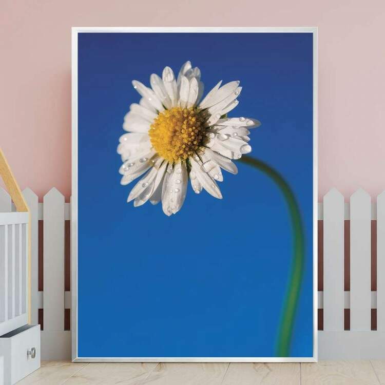 Quadro decorativo - Floral Flor Branca e Cu Azul