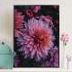 Quadro decorativo - Floral Flor Roxa e Rosa