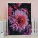 Quadro decorativo - Floral Flor Roxa e Rosa