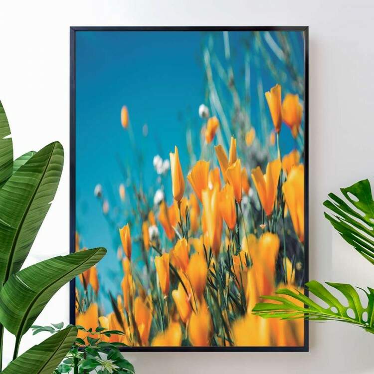 Quadro decorativo - Floral Flores Amarelas com o Fundo De Cu Azul